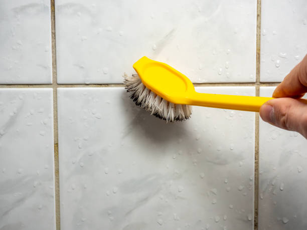 Best Basement Mold Remediation in Bishop, CA