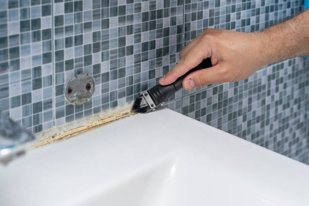 Best DIY Mold Remediation Support Services in Bishop, CA